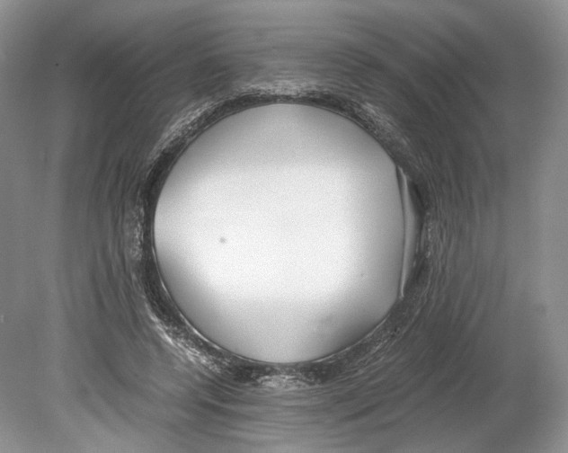 X0000078880544200612111742