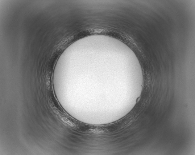 X0000078880545200612111742