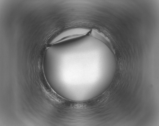 X0000078880546200612111742