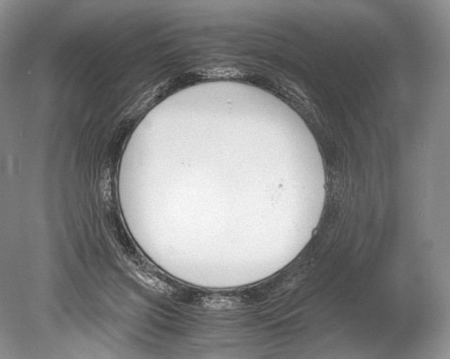 X0000078880549200612111742