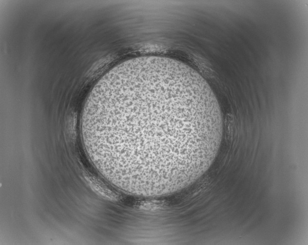 X0000078880550200612111742