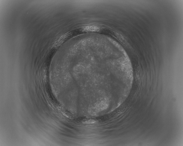 X0000078880551200612111742