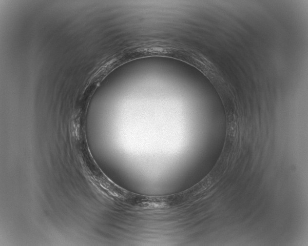 X0000078880552200612111742