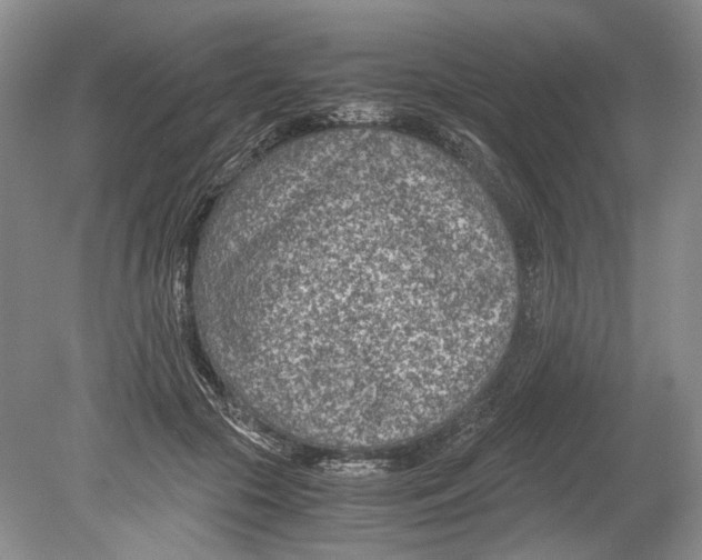 X0000078880553200612111742