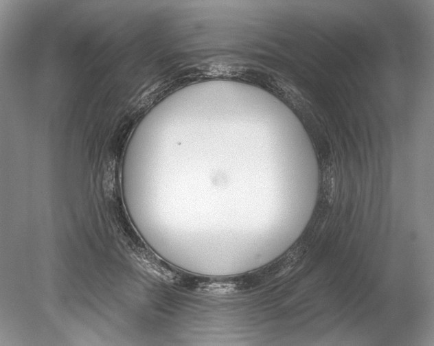 X0000078880554200612111742