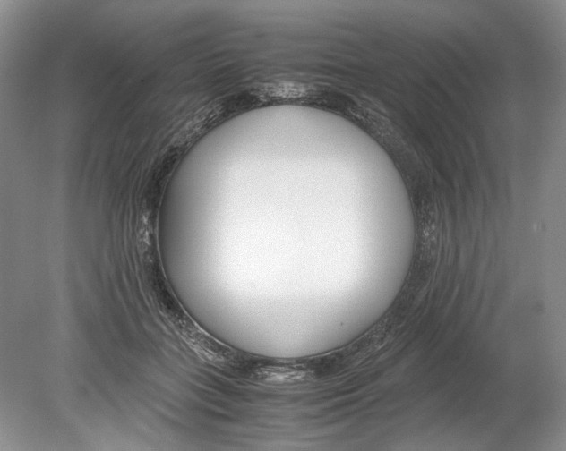 X0000078880555200612111742