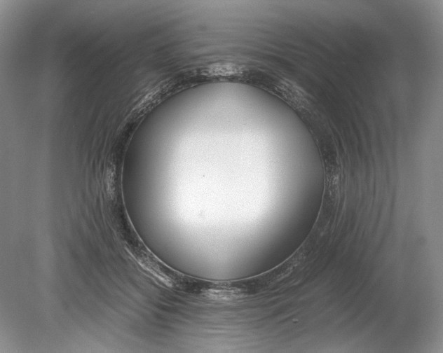 X0000078880556200612111742