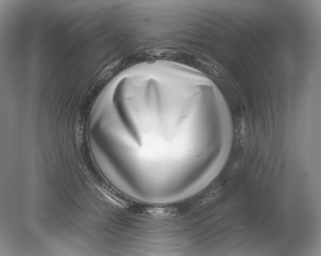 X0000078880558200612111742