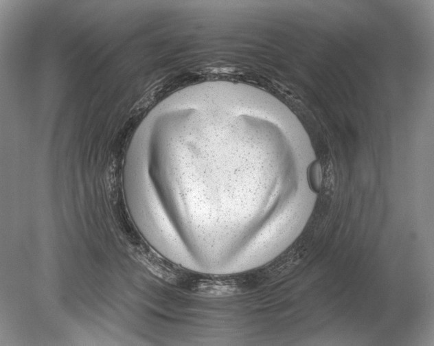 X0000078880559200612111742