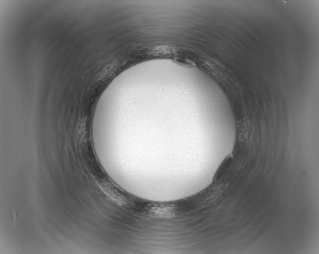 X0000078880560200612111742