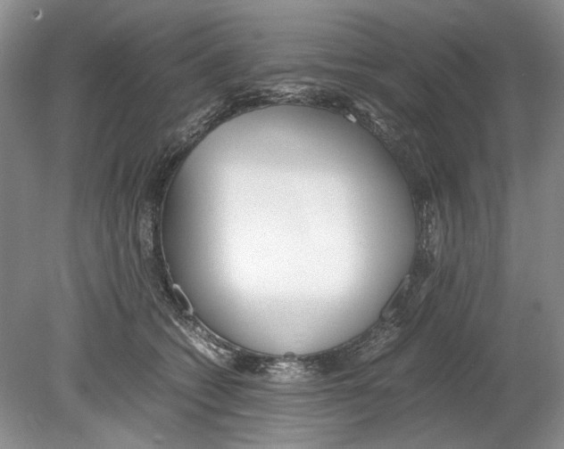 X0000078880562200612111742