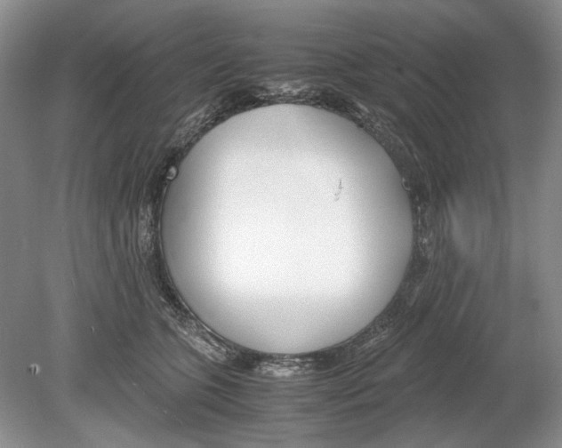 X0000078880563200612111742