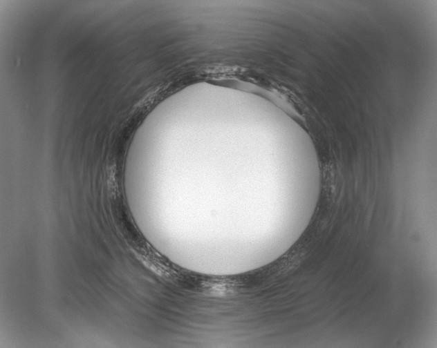 X0000078880564200612111742