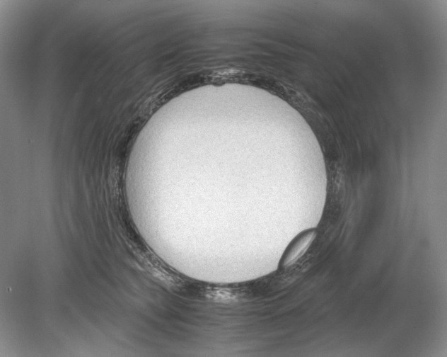 X0000078880565200612111742