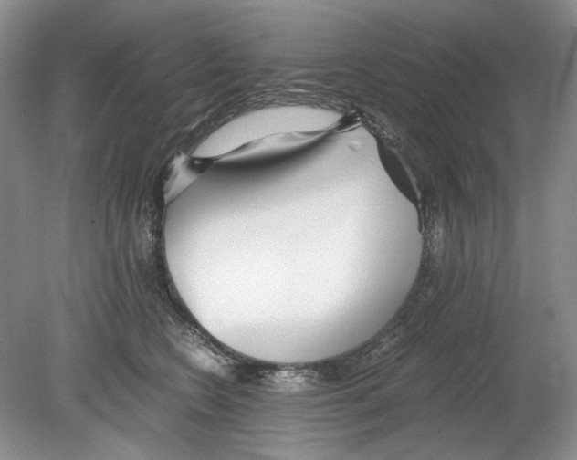 X0000078880566200612111742