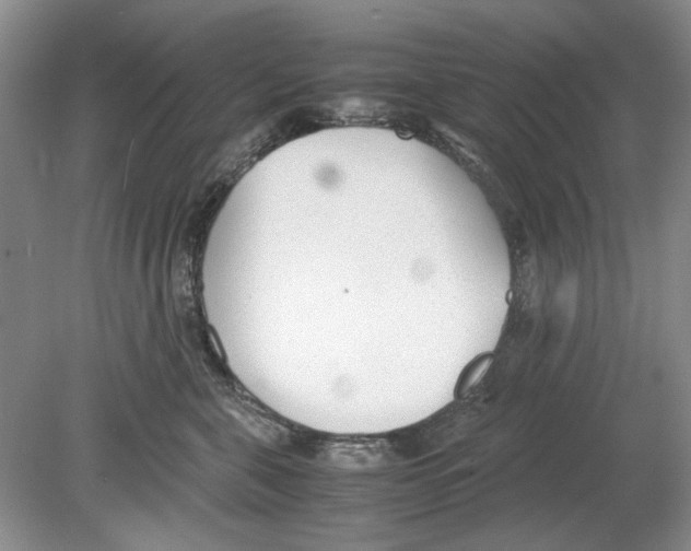 X0000078880571200612111742