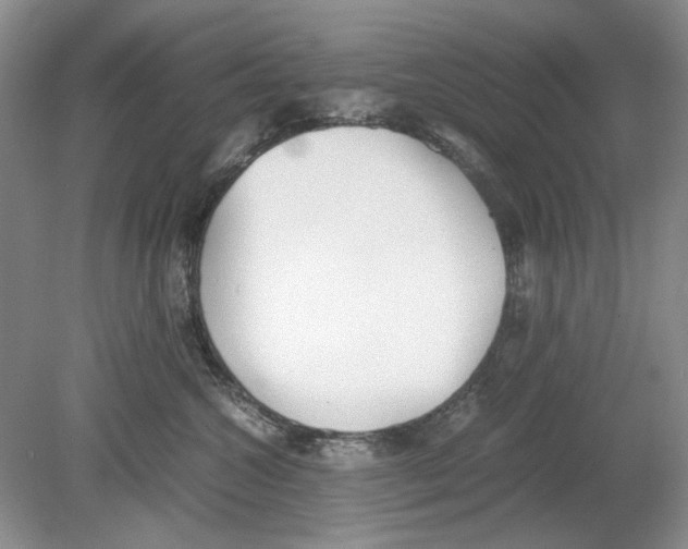 X0000078880572200612111742