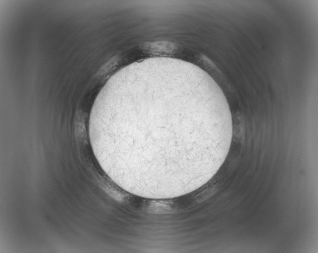 X0000078880573200612111742