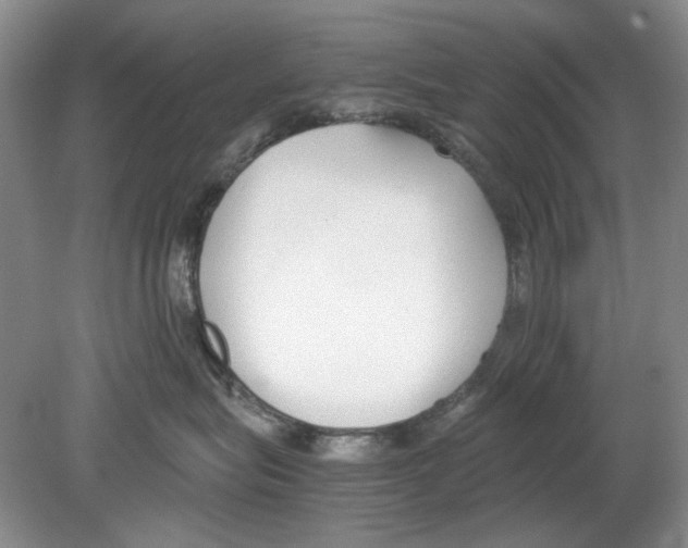 X0000078880575200612111742