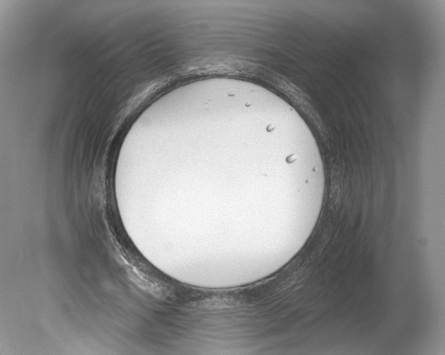 X0000078880578200612111742