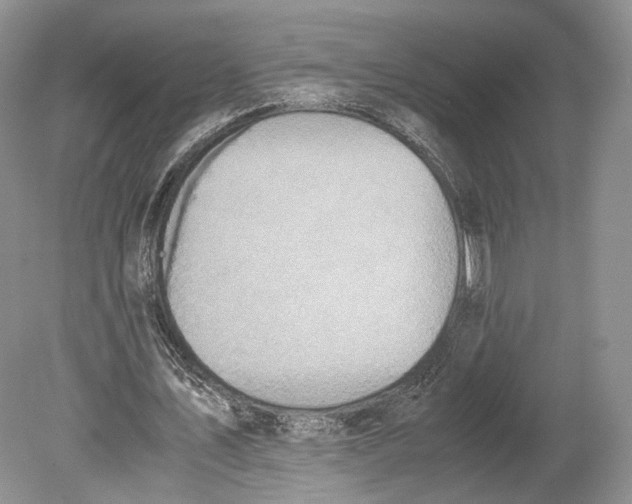 X0000078880579200612111742