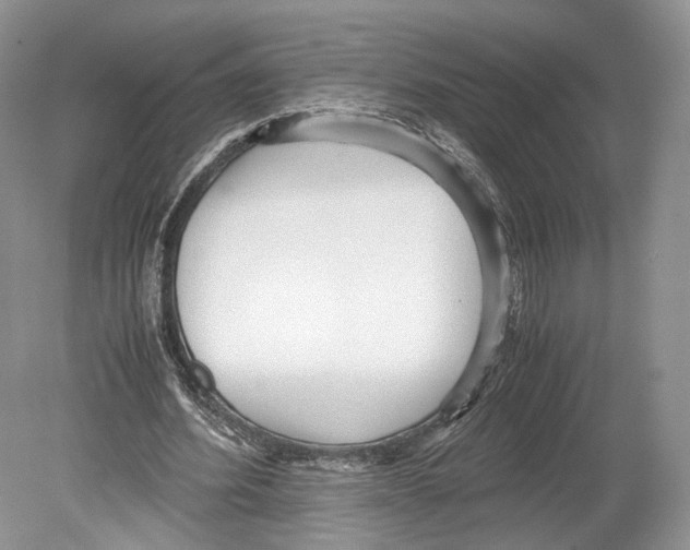 X0000078880580200612111742