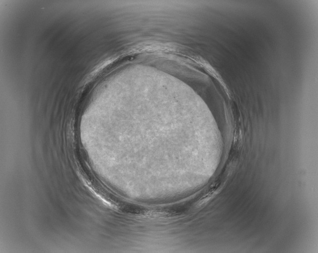 X0000078880581200612111742