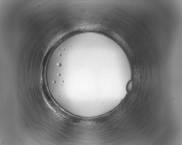 X0000078880582200612111742