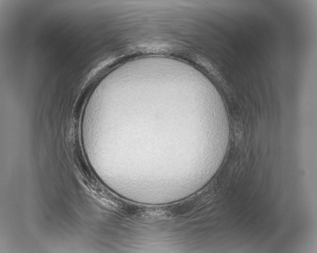 X0000078880583200612111742