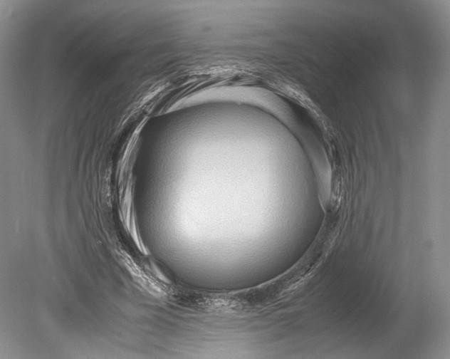 X0000078880585200612111741