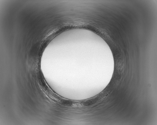 X0000078880591200612111741