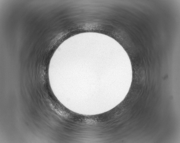 X0000078880592200612111741