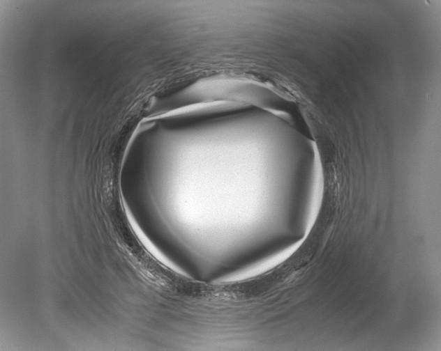 X0000078880593200612111741