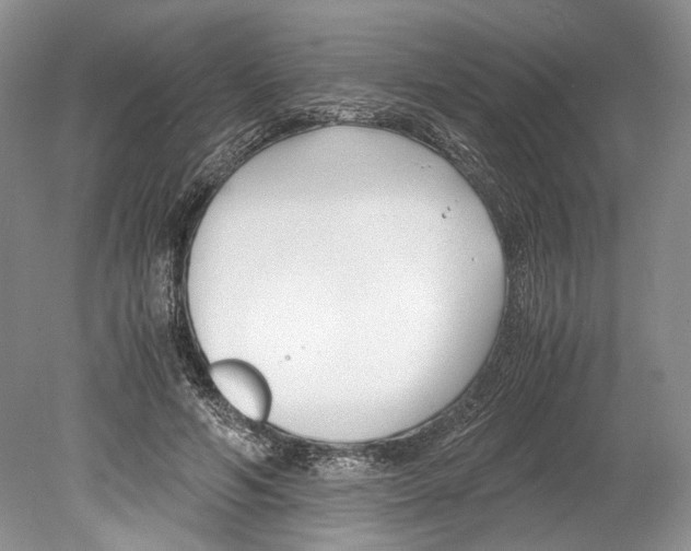 X0000078880594200612111741