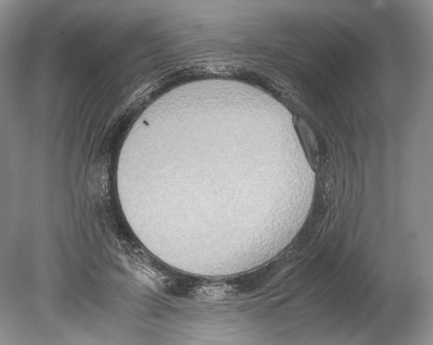 X0000078880595200612111741