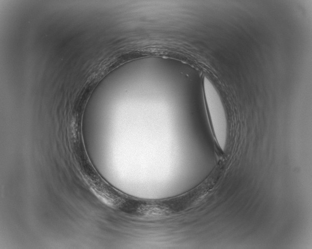 X0000078880597200612111741