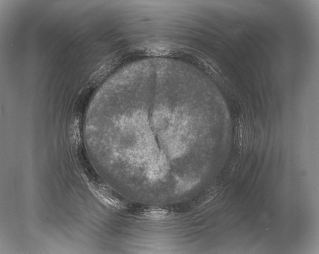 X0000078880598200612111741