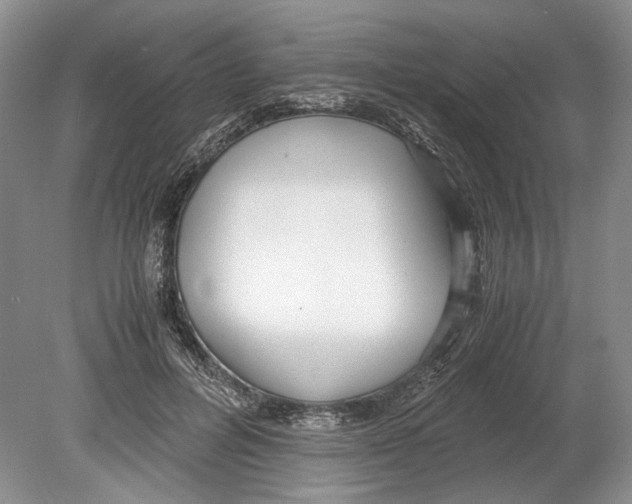 X0000078880600200612111741