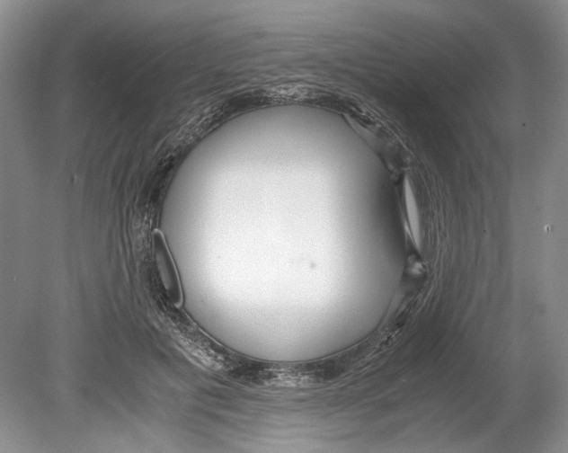 X0000078880601200612111741