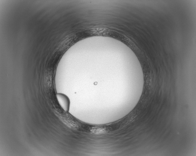 X0000078880602200612111741