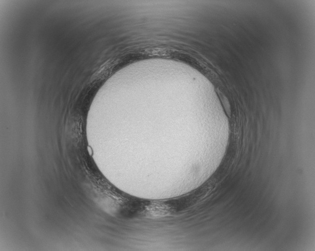 X0000078880603200612111741