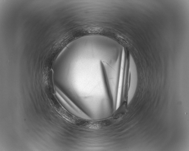 X0000078880604200612111741