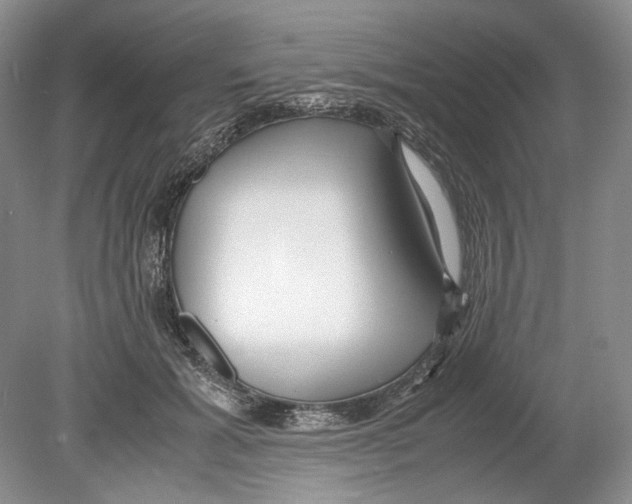 X0000078880605200612111741