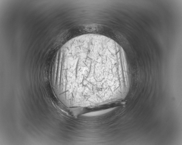 X0000078880606200612111741