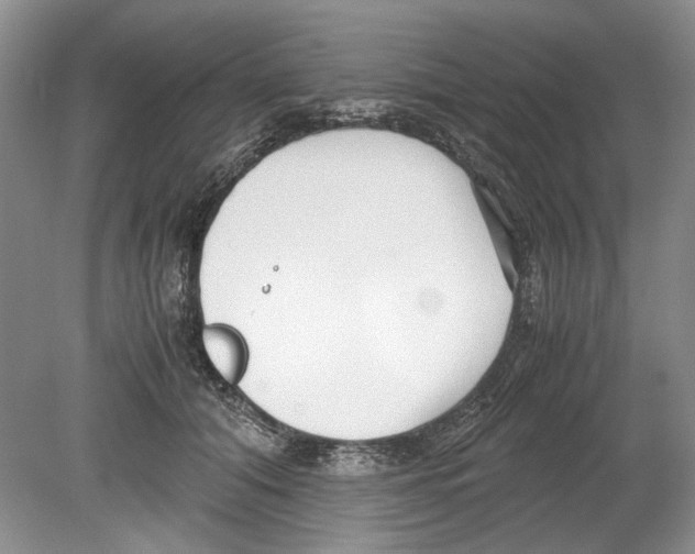 X0000078880608200612111741