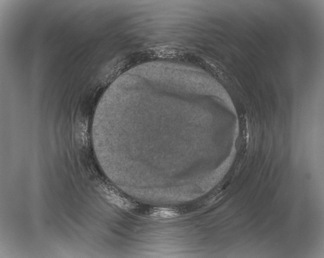 X0000078880610200612111741