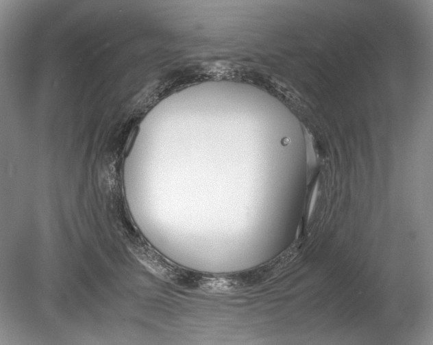 X0000078880611200612111741