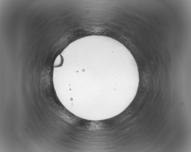 X0000078880612200612111741