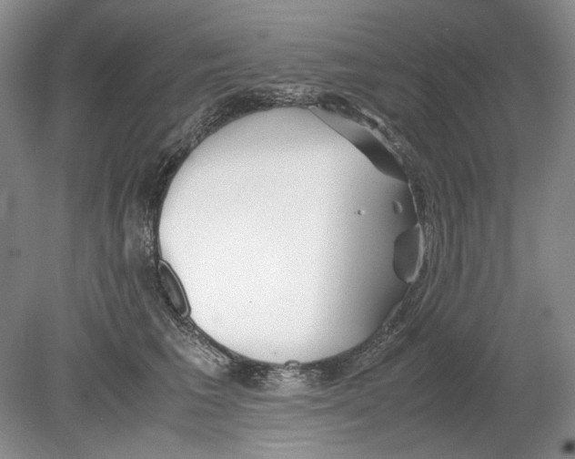 X0000078880613200612111741