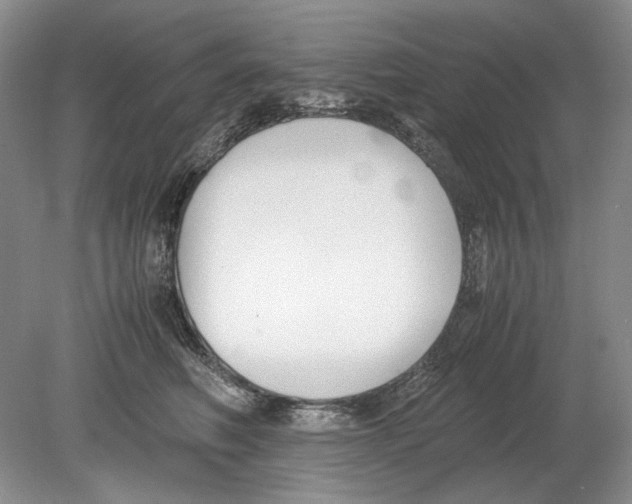 X0000078880614200612111741